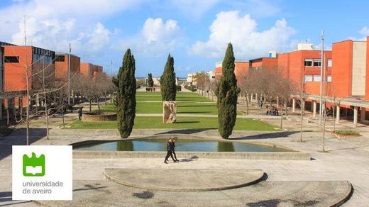 Universidad de Aveiro