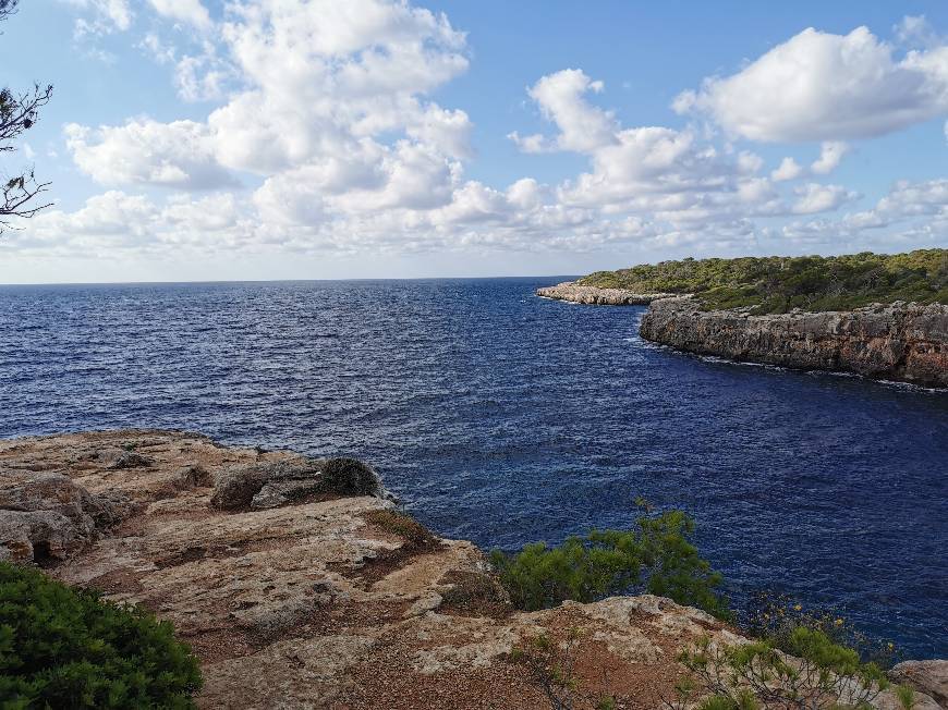 Lugar Arenal Mallorca