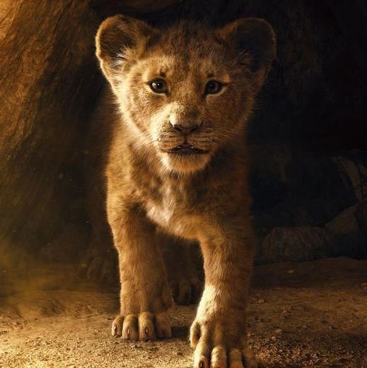 The Lion King: Live Action