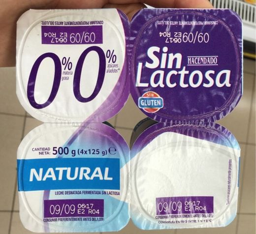 Iogurte natural sem lactose 0%