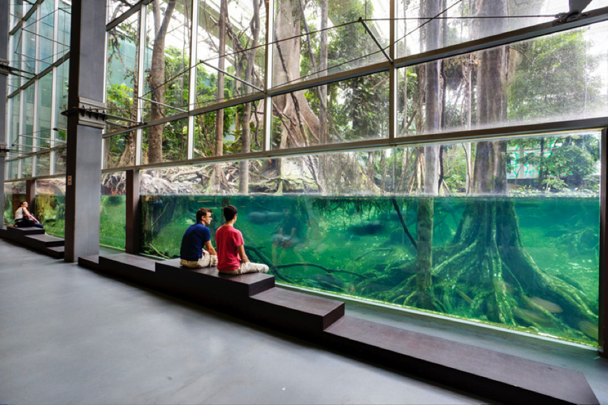 CosmoCaixa Barcelona