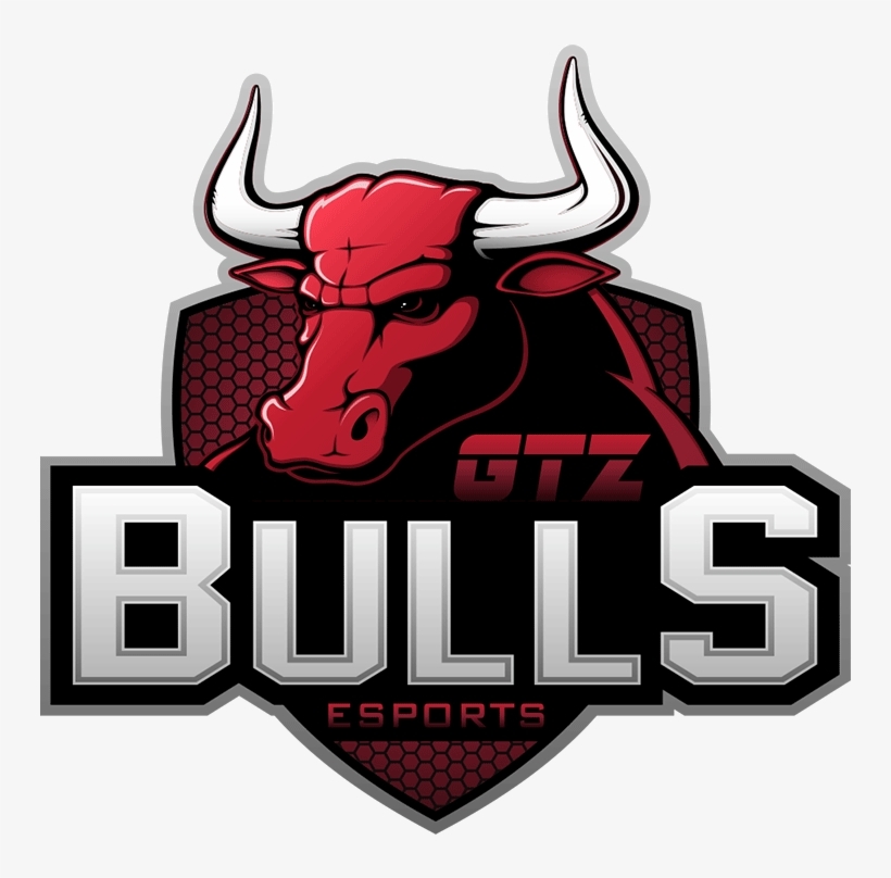 Fashion Gtz bulls