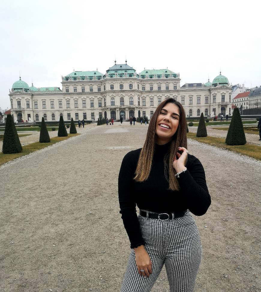 Place Belvedere Museum