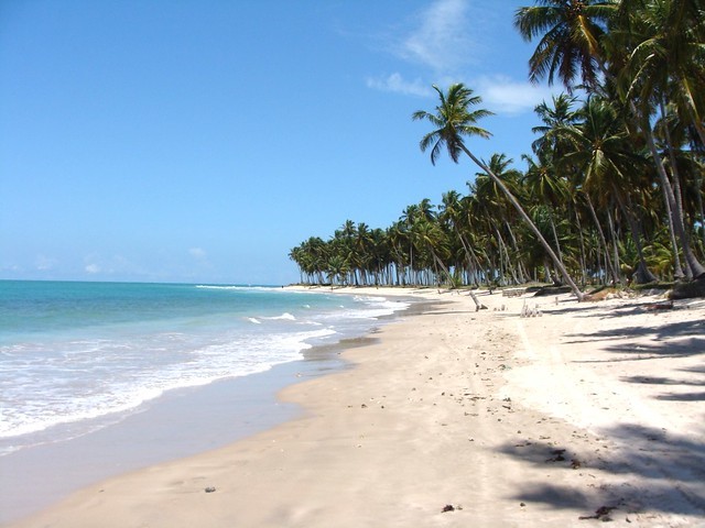 Lugar Praia dos Carneiros