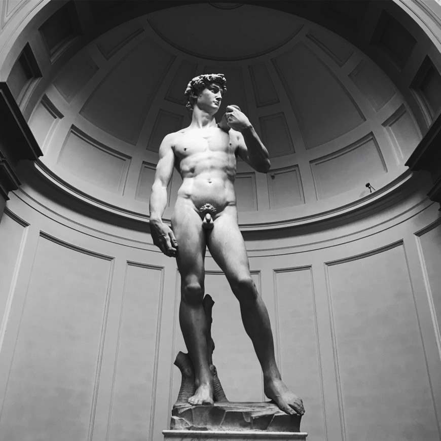 Moda David, Michelangelo