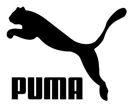 Fashion Puma