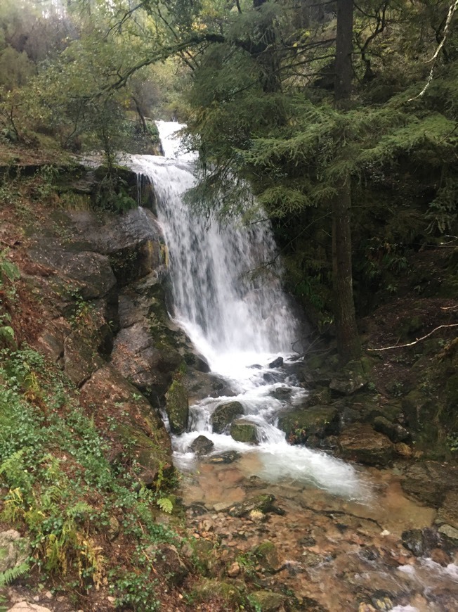 Lugar Gerês