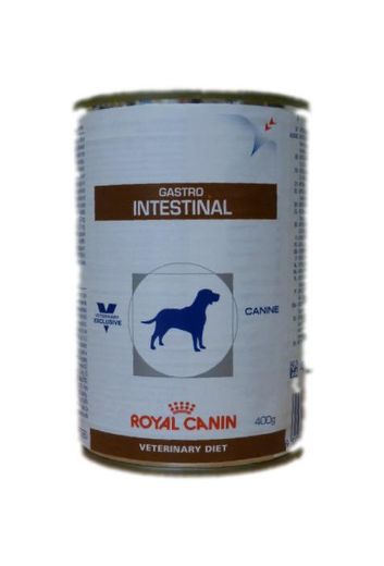 Royal Canin Gastrointestinal- Comida para perros de edad adulta,  400 g