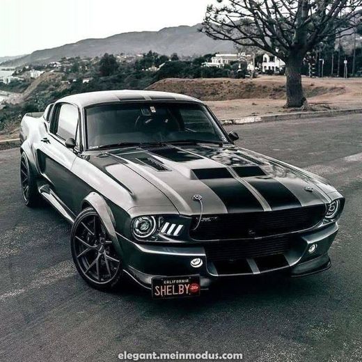 Shelby