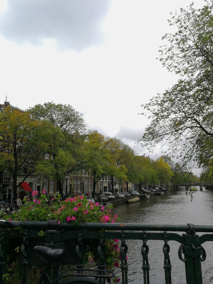 Amsterdam Canal Cruises