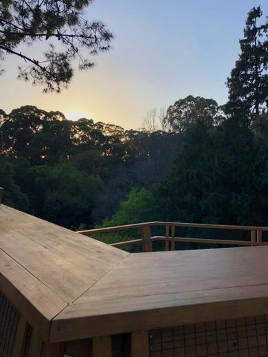 Treetop Walk Serralves