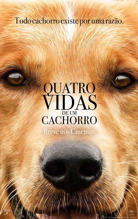 Social Quatro Vidas De Um Cachorro