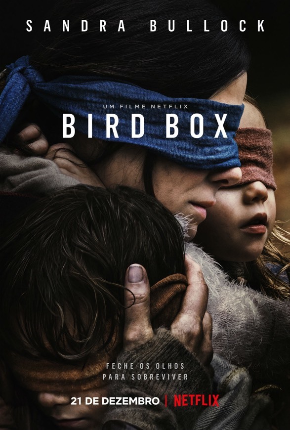 Social Bird Box