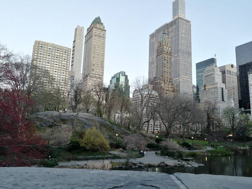 Place Central Park