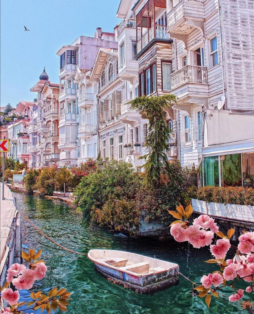 Place Arnavutköy