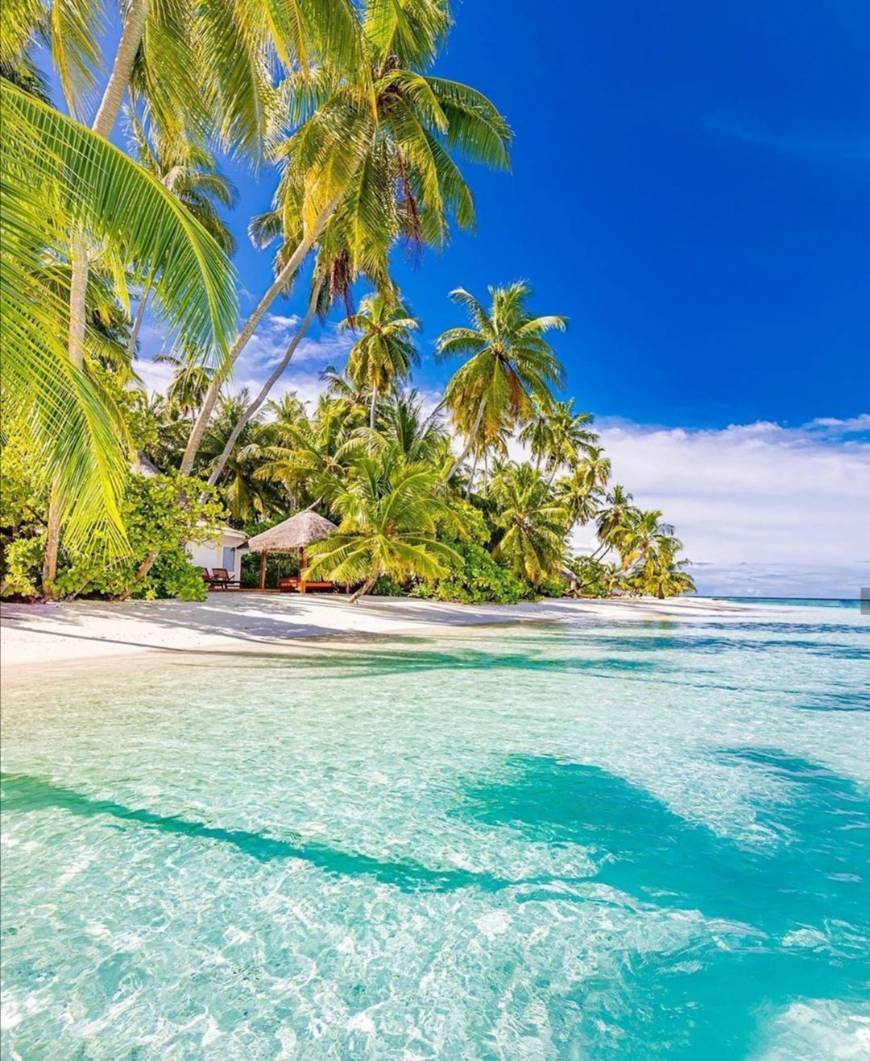 Place Sun Aqua Vilu Reef