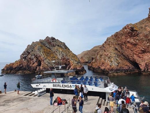 📍Berlenga Tour