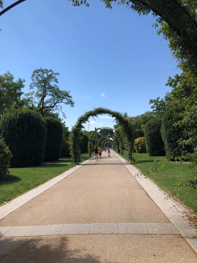 Place Parque El Retiro