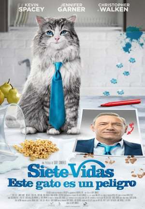 Película Siete vidas, este gato es un peligro