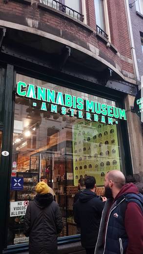 Cannabis Museum Amsterdam