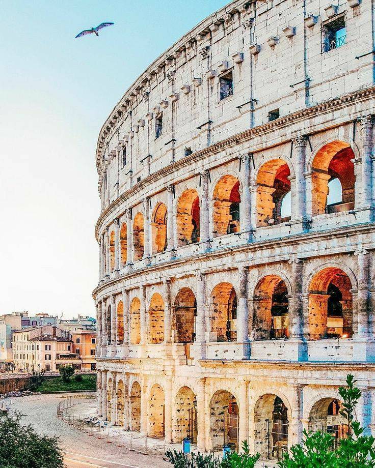 Lugar Coliseo de Roma