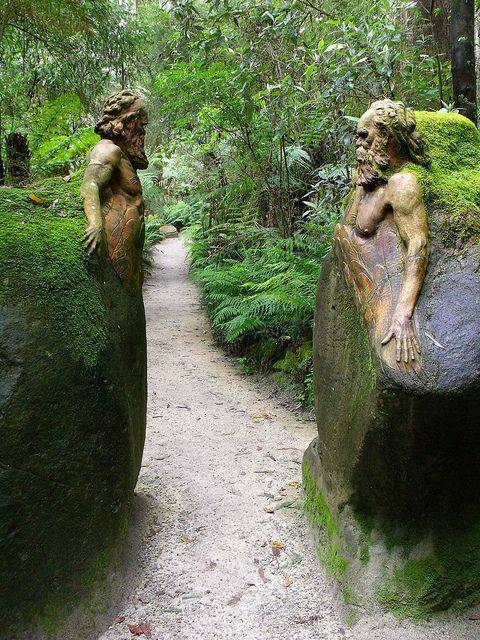 Places Dandenong Ranges National Park