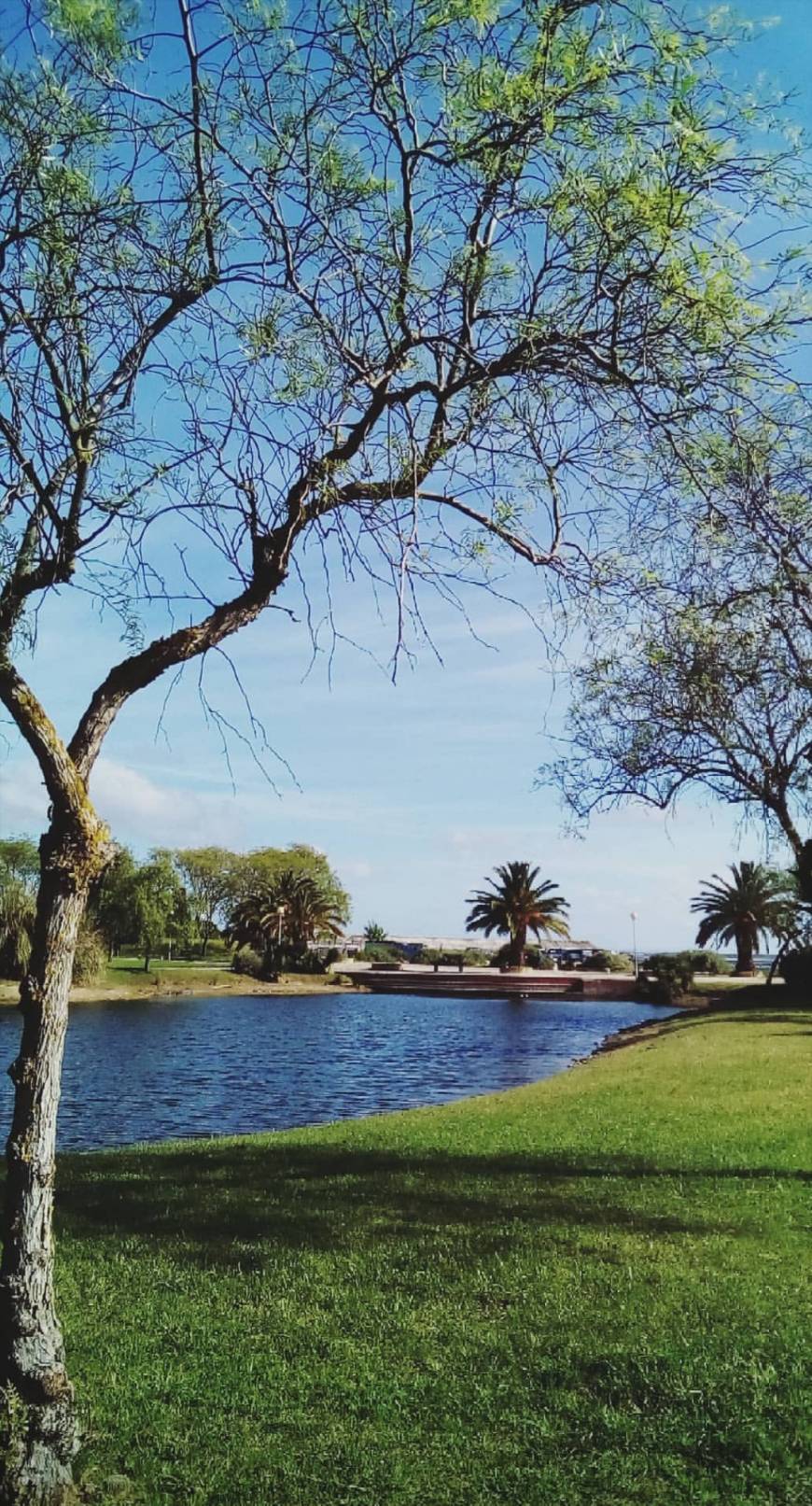 Lugar Municipal Park José Afonso