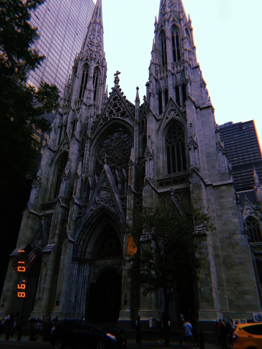 Place Saint Patrick's Cathedral