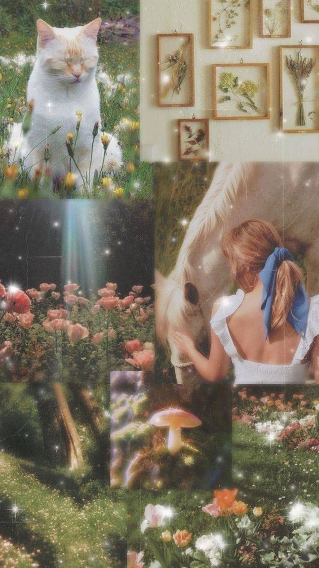 Social Wallpaper aesthetic