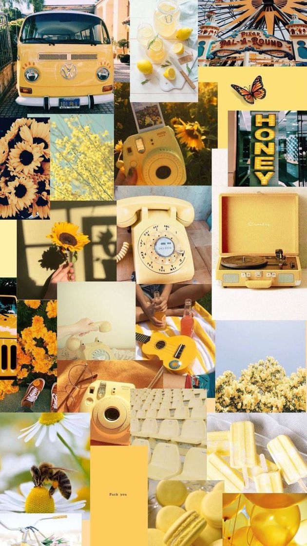 Social Wallpaper yellow🌻