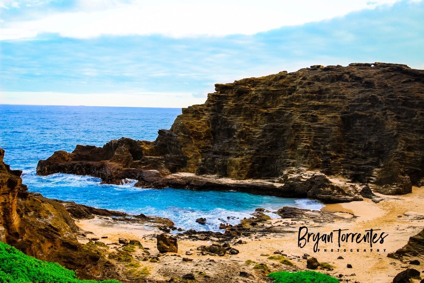 Cockroach Cove