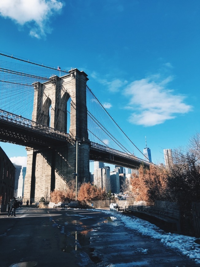 Place Brooklyn Bridge