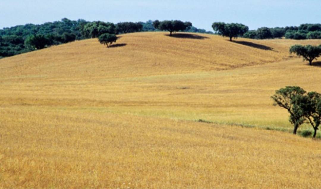 Lugar Alentejo