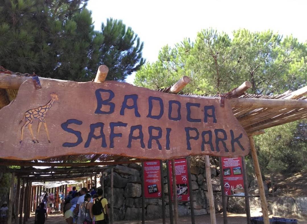 Fashion Badoca Safari Park