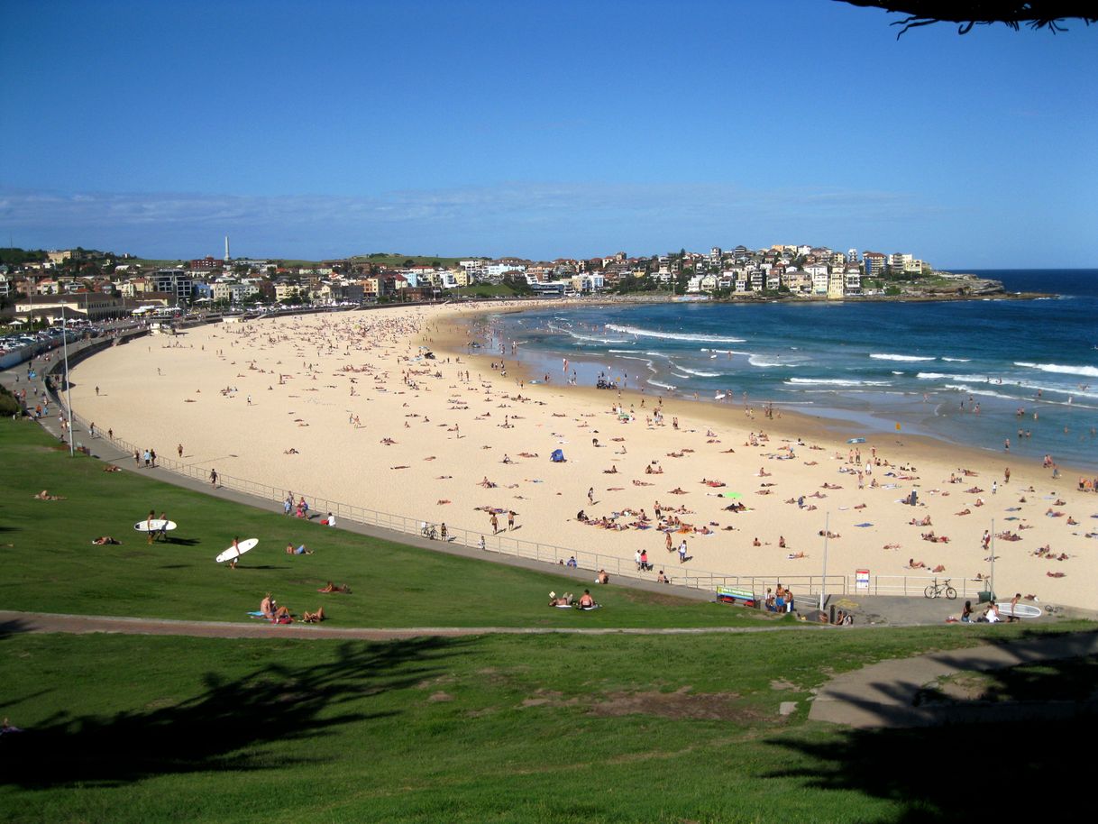 Place Bondi Beach