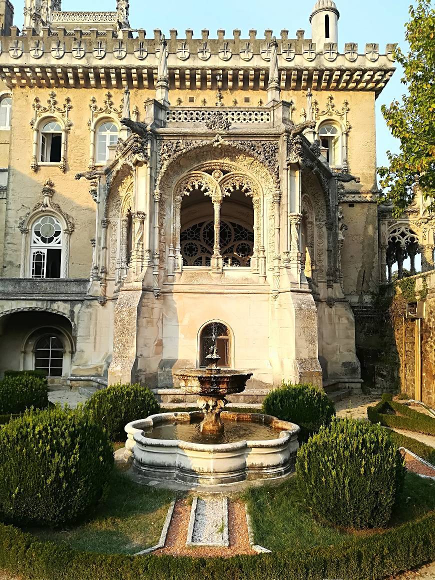 Place Mata Nacional do Buçaco