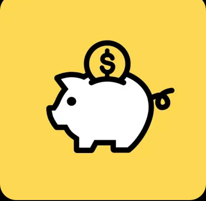 App Money Manager