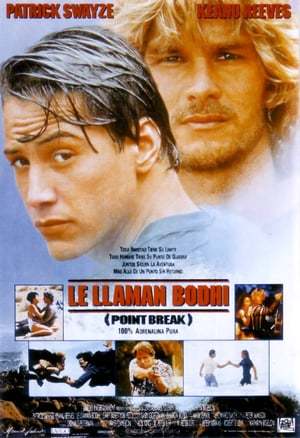 Movie Le llaman Bodhi