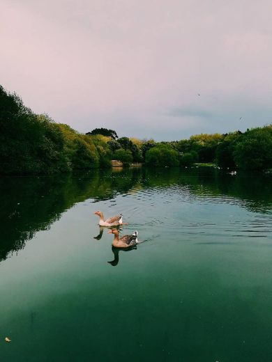 Parque da Cidade