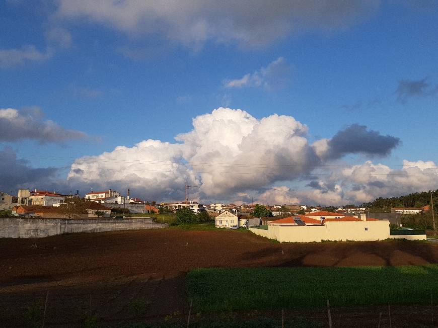 Lugar Bidoeira de Cima