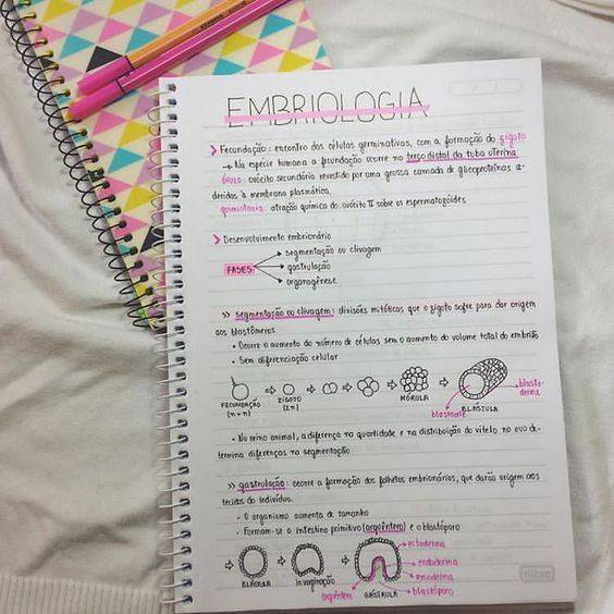 Moda Caderno Lindo