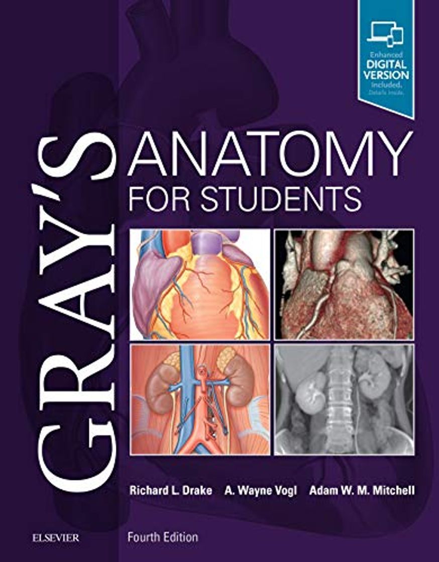 Book Gray's Anatomy for Students, 4e