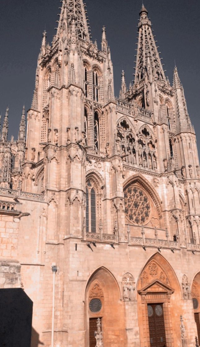 Place Catedral de Burgos