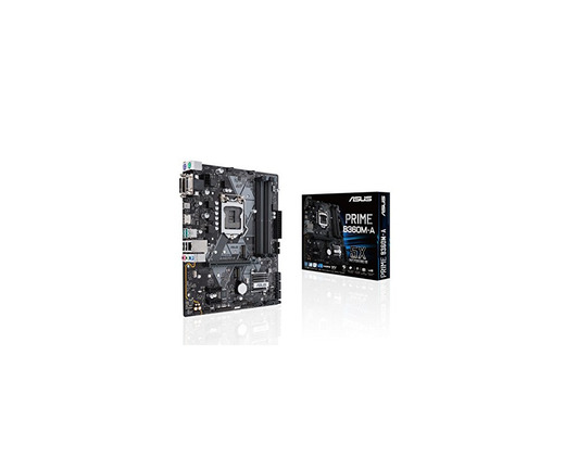 Asus Intel B360 mATX - Placa con Aura Sync RGB header