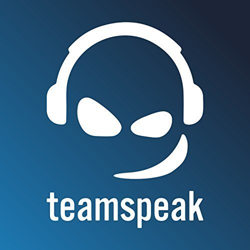 Electrónica Team Speak