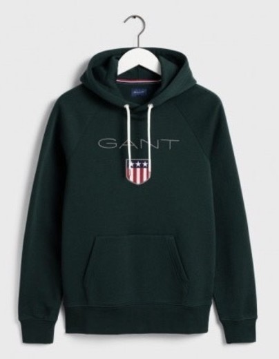 hoodie gant 