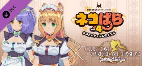 Videogames CUSTOM ORDER MAID 3D2 It's a Night Magic on Steam