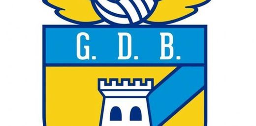 Grupo Desportivo de Bragança