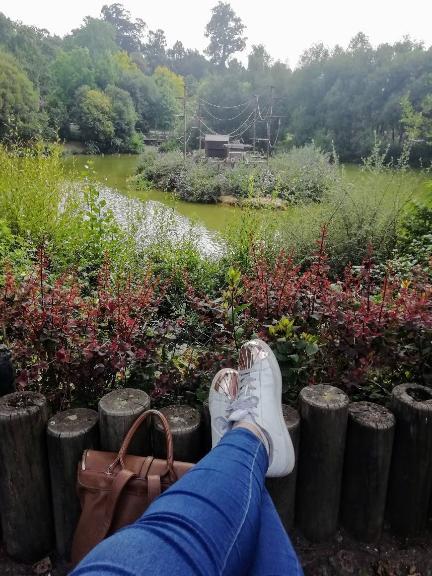 Place ZOO Santo Inácio