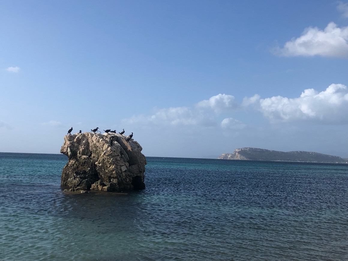 Lugar Tower Carcangiolas (ruins)